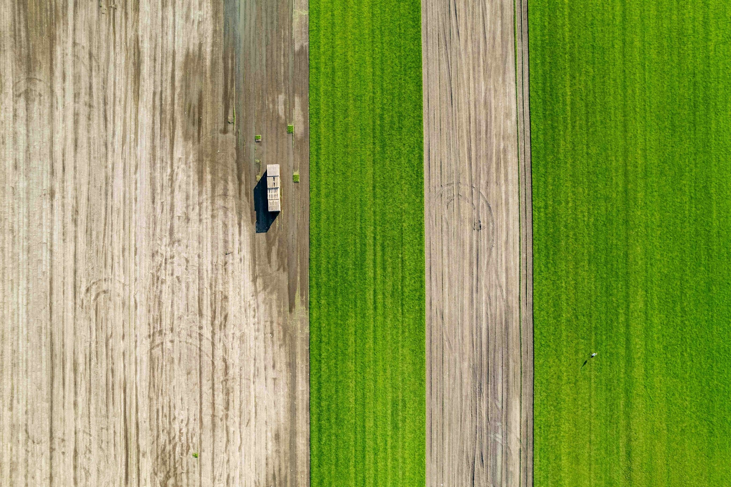 Aerial view of lush green agricultural farmland